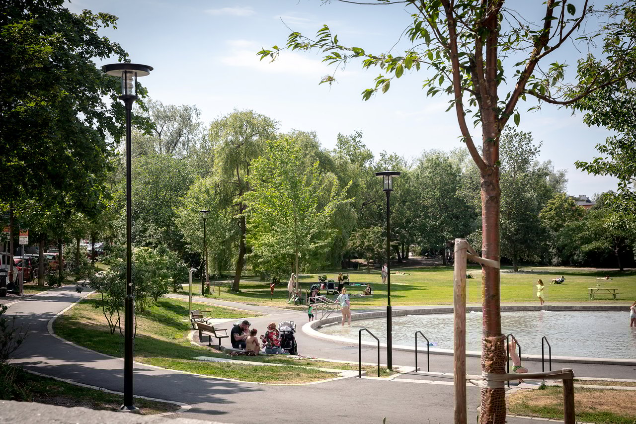 Svandammsparken